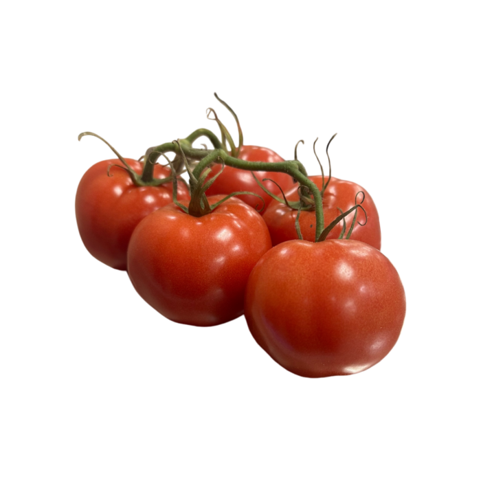Strauchtomaten